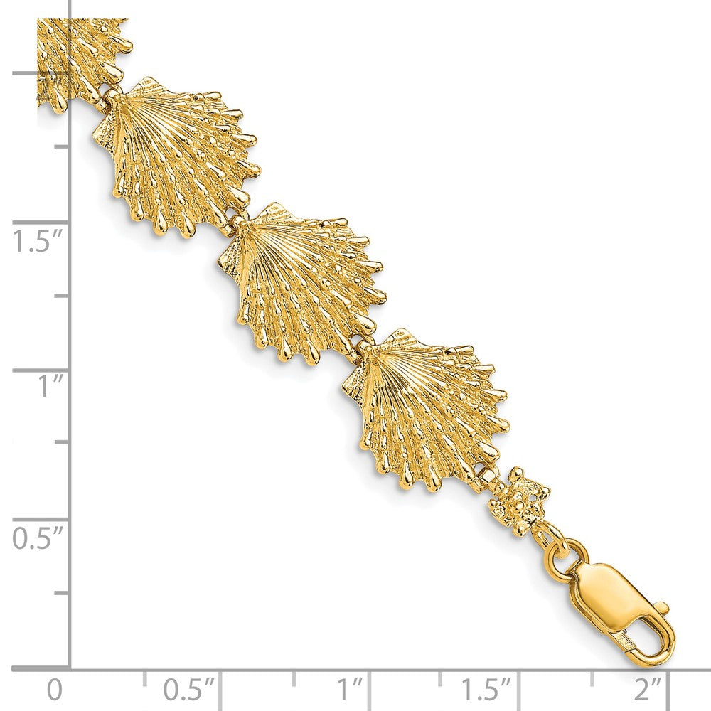 14k Yellow Gold 13.2 mm Lion's Paw Shell Bracelet (13.71 grams)