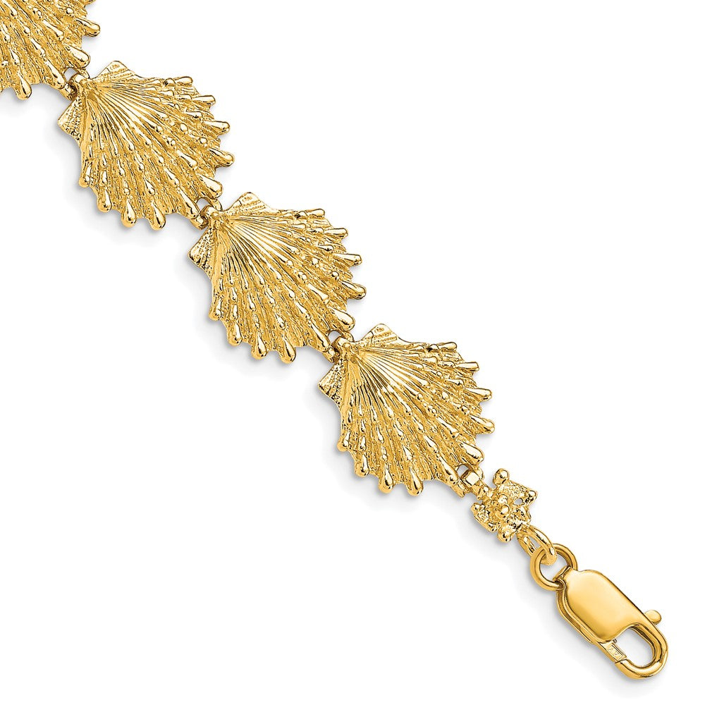 14k Yellow Gold 13.2 mm Lion's Paw Shell Bracelet (13.71 grams)