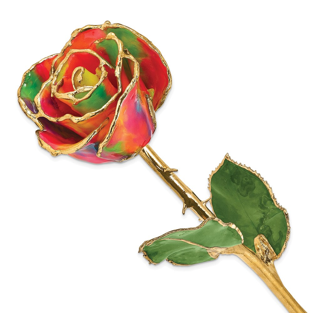 Lacquer Dipped Gold Trim Aurora Neon Rainbow Rose