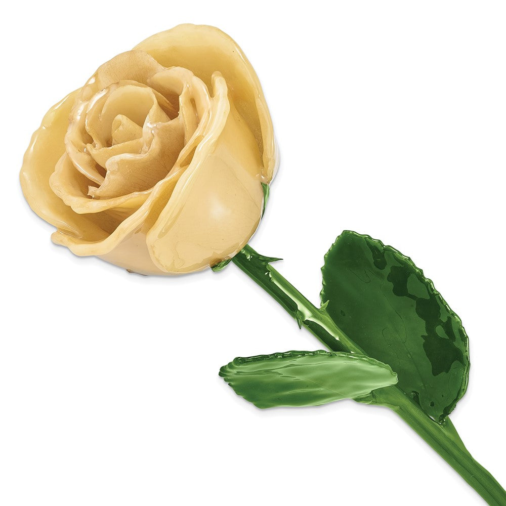 Natural Cream Roses Lacquer Dipped Natural Cream Rose w/Green Leaves and Stem