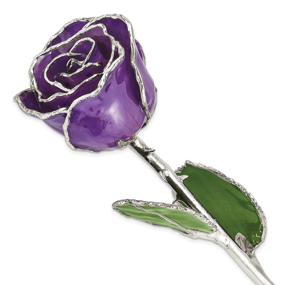 Lacquer Dipped Silver Trimmed Lilac Rose