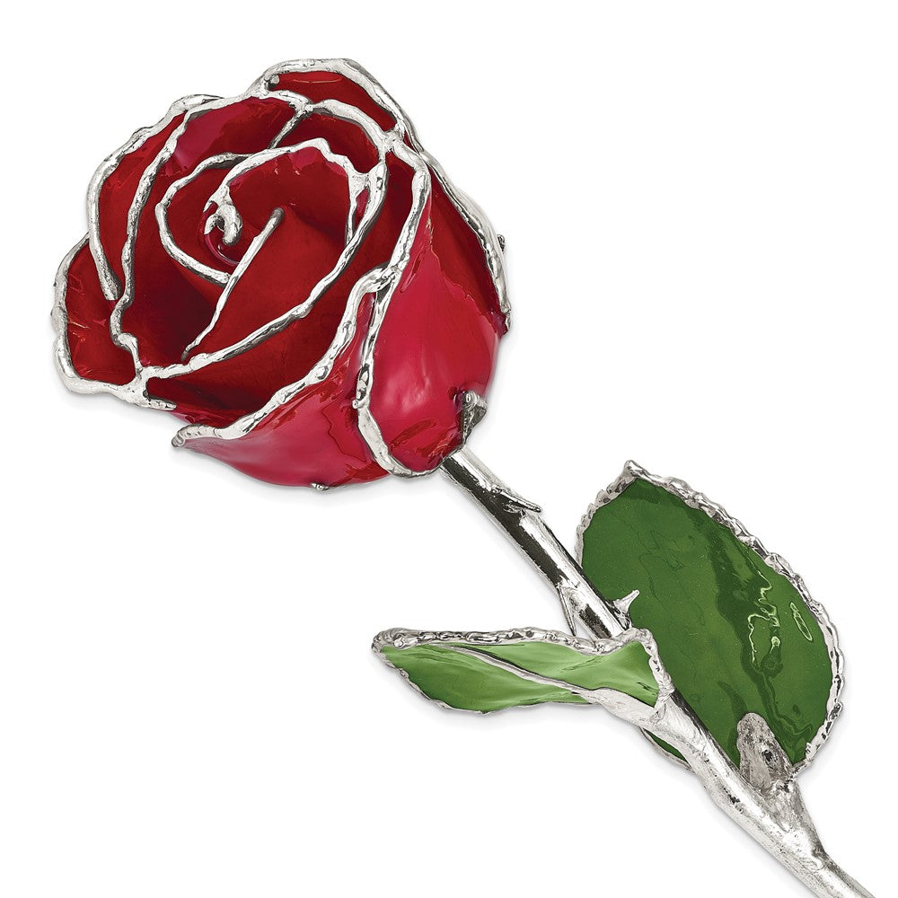 Lacquer Dipped Silver Trimmed Red Rose