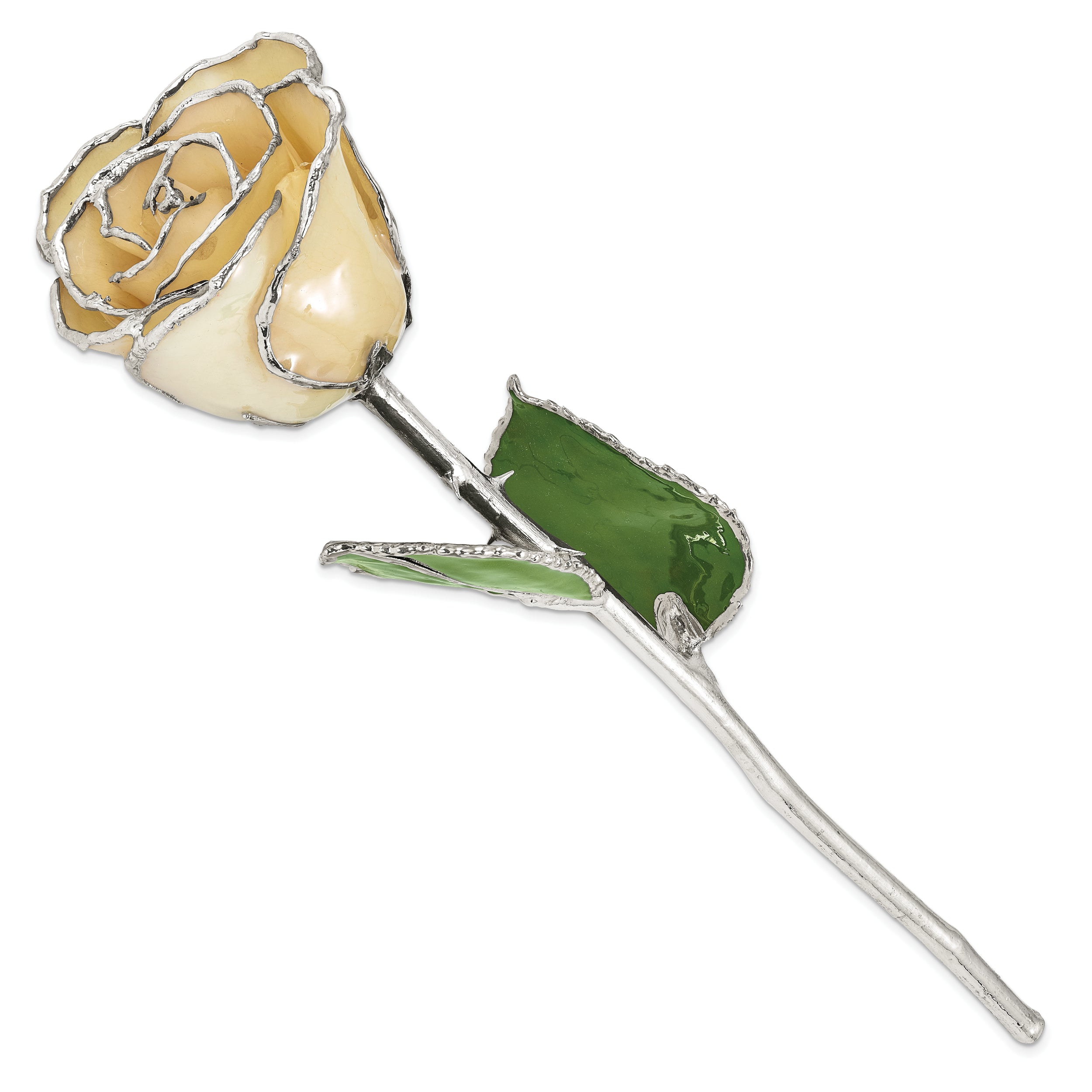 Lacquer Dipped Silver Trimmed White Rose