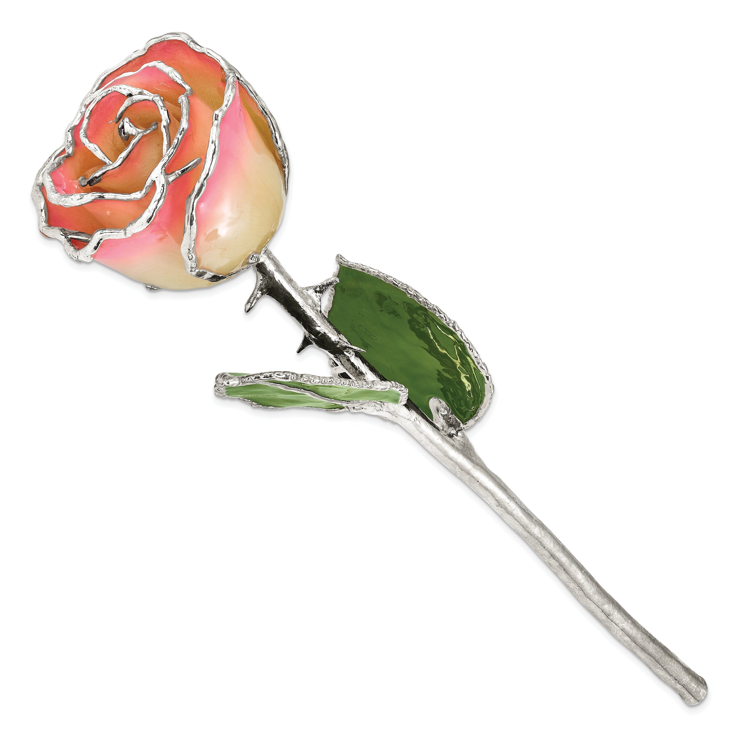 Lacquer Dipped Silver Trimmed White/Pink Rose