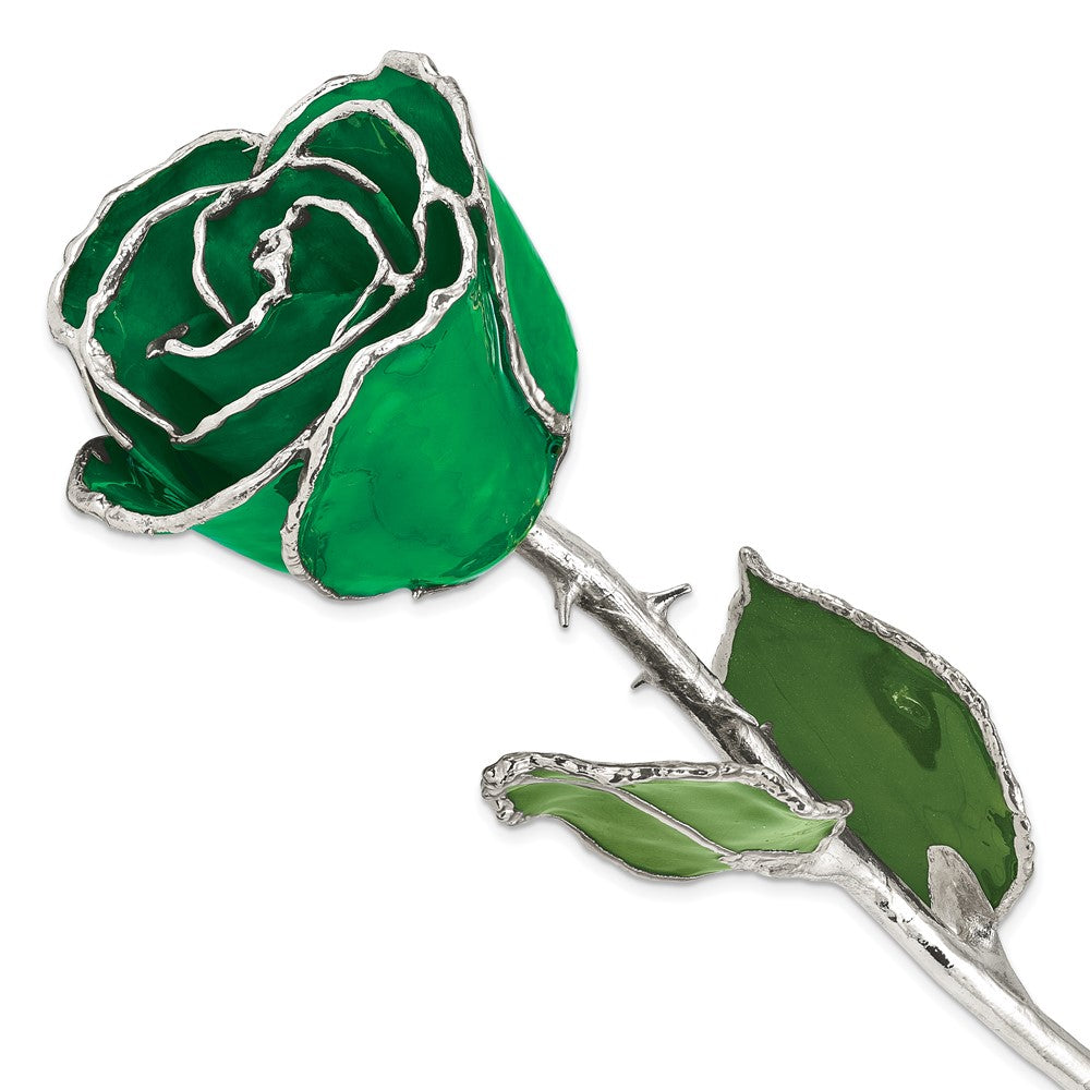 Lacquer Dipped Silver Trim Green Rose