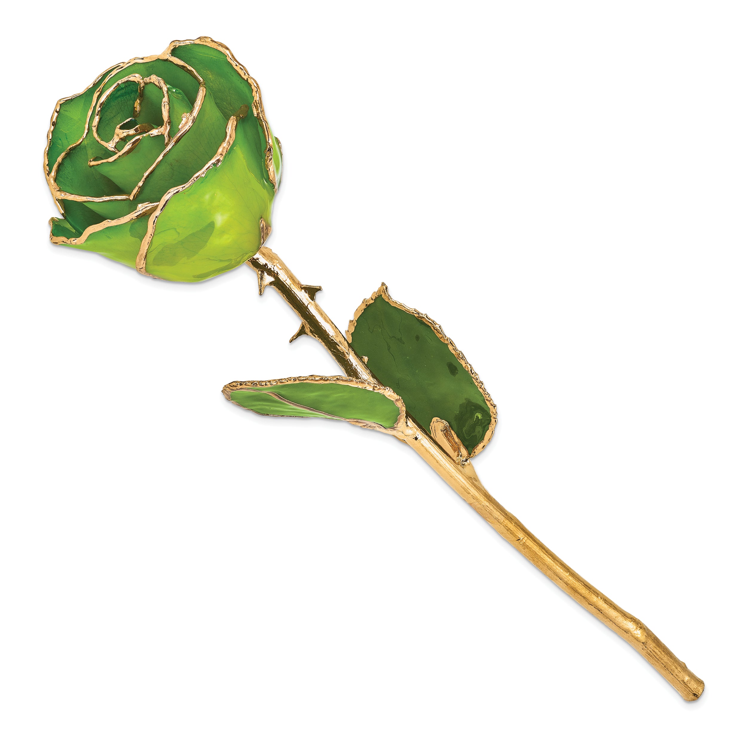 Lacquer Dipped Gold Trim Apple Green Rose