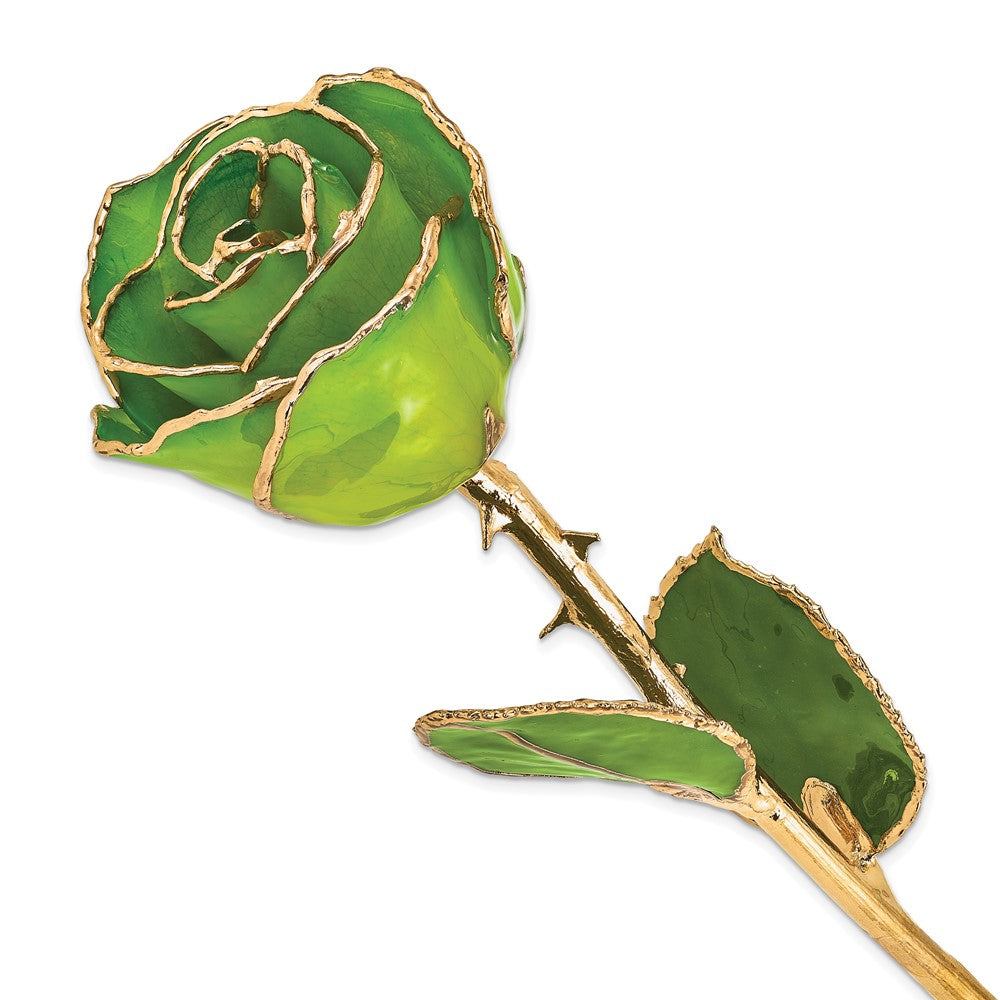 Lacquer Dipped Gold Trim Apple Green Rose