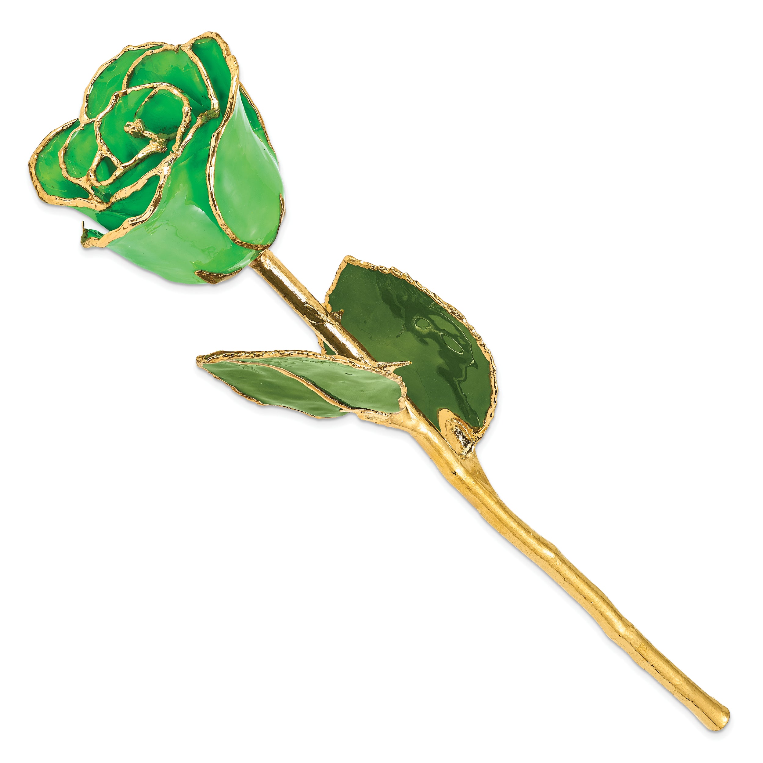 Lacquer Dipped Gold Trim Geo Green Rose