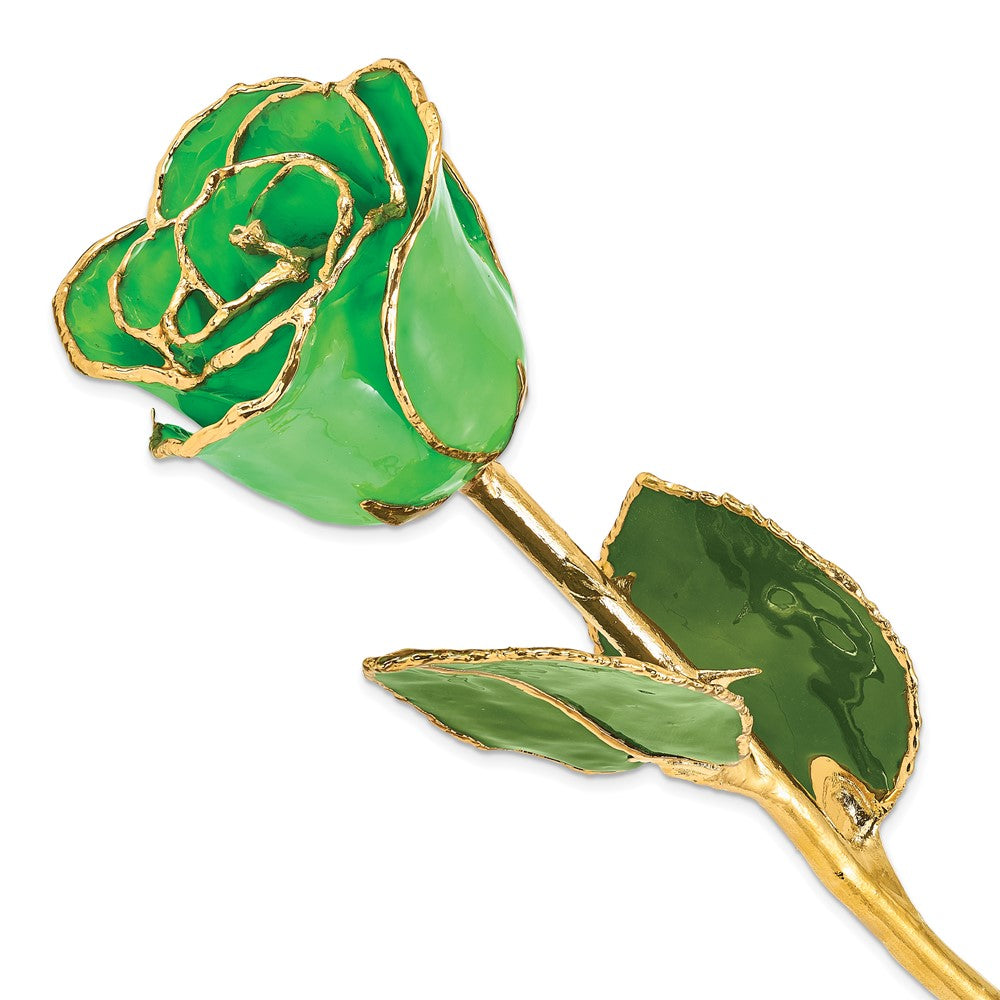 Lacquer Dipped Gold Trim Geo Green Rose