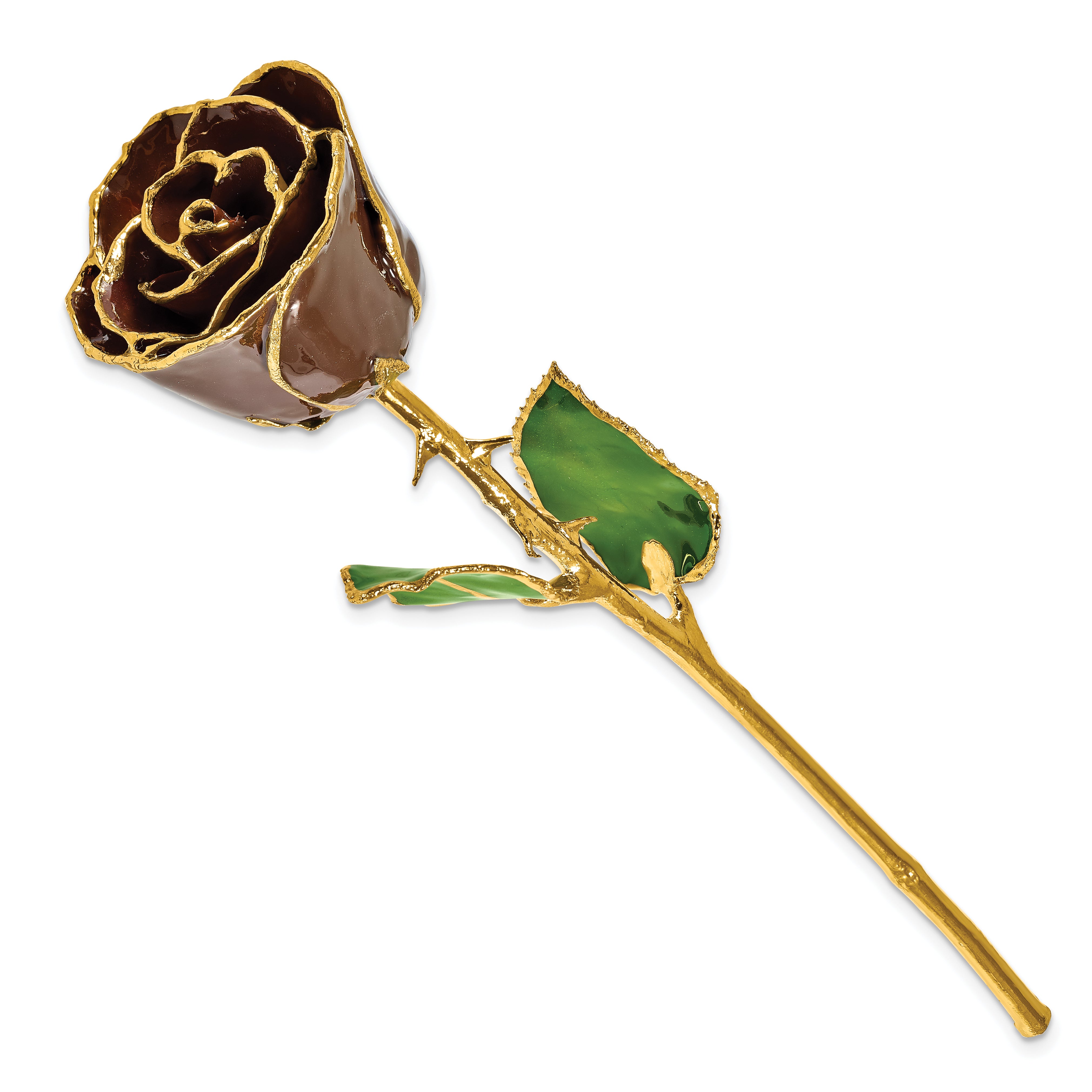 Lacquer Dipped Gold Trim Chocolate Brown Rose