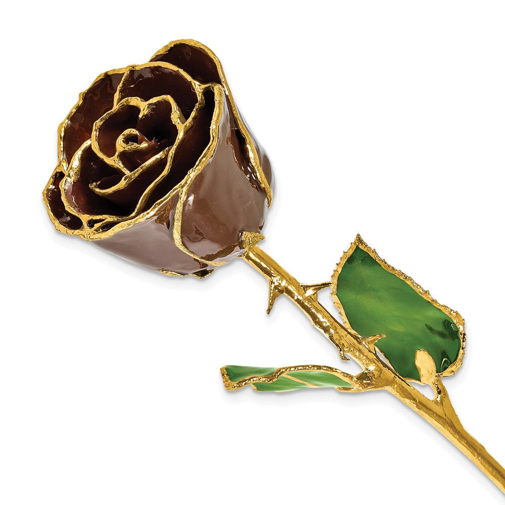 Lacquer Dipped Gold Trim Chocolate Brown Rose