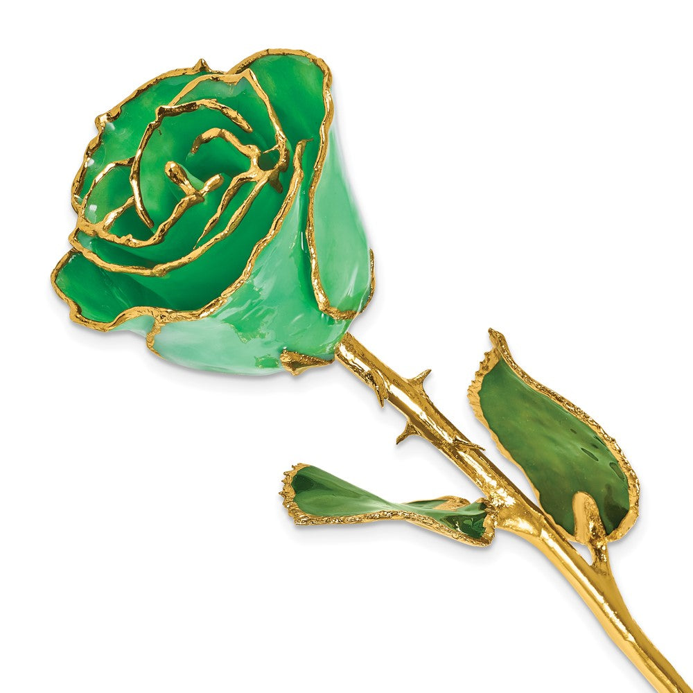 Lacquer Dipped Gold Trim May Birthstone Emerald Rose