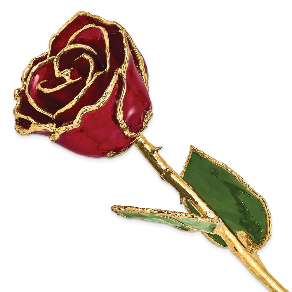 Lacquer Dipped Gold Trim Burgundy Rose