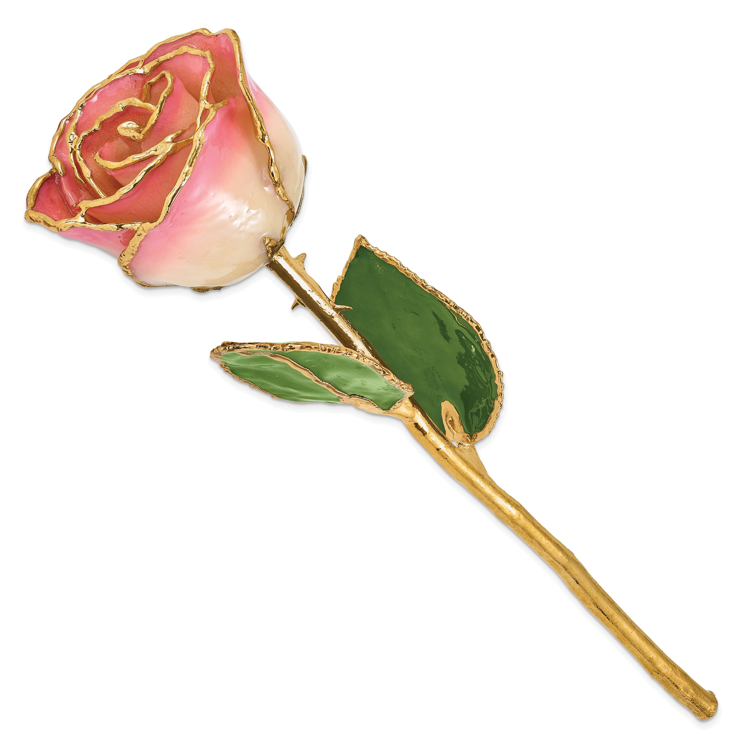 Lacquer Dipped Gold Trim White Pink Rose