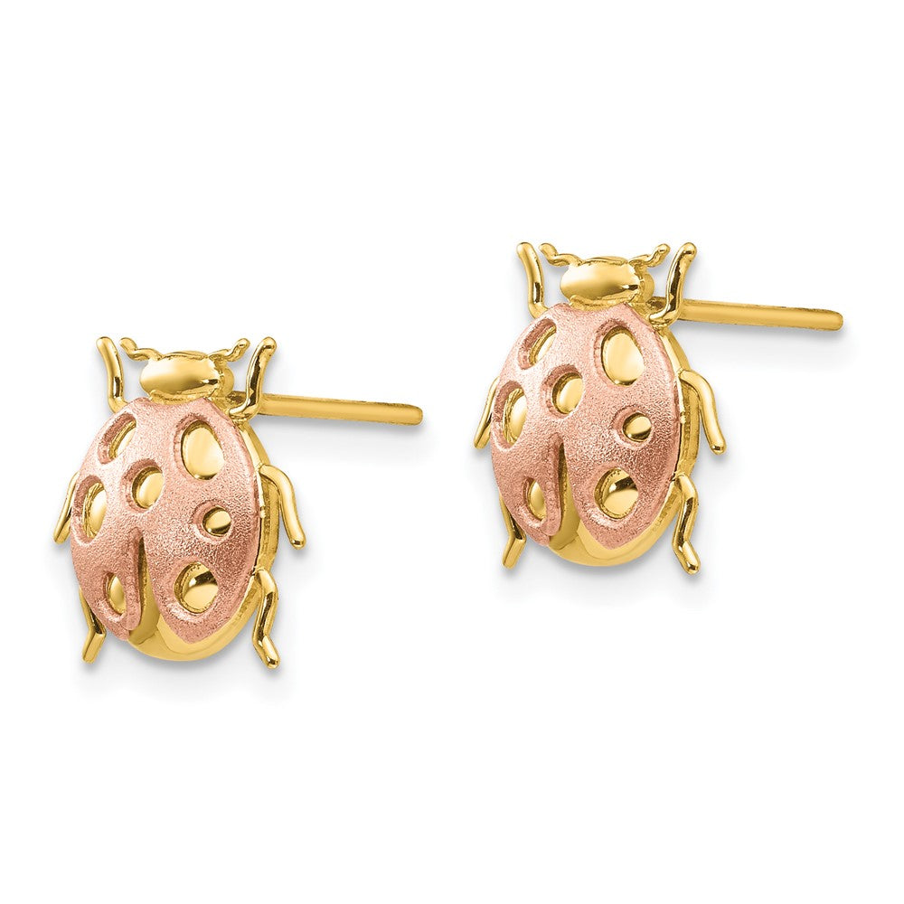 14k Two-tone 11 mm Two-Tone Ladybug Post Earrings (1.33 grams)