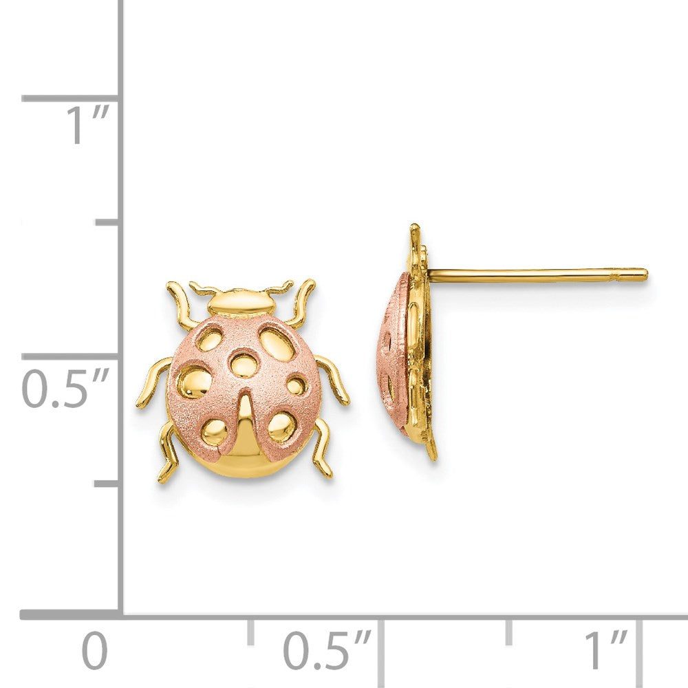 14k Two-tone 11 mm Two-Tone Ladybug Post Earrings (1.33 grams)