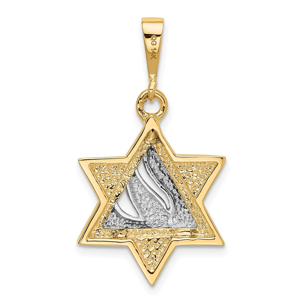 14k Two-tone 18 mm Star of David Pendant (3.8 grams)