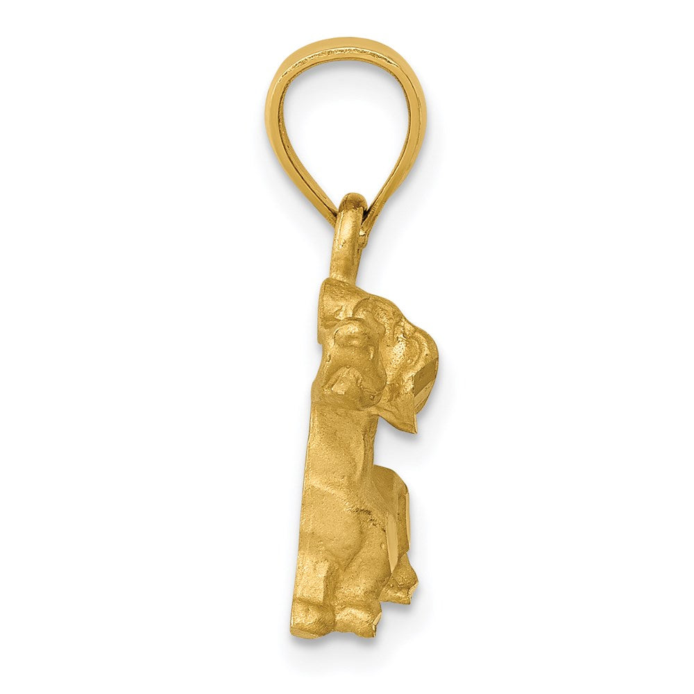 14k Yellow Gold 20 mm Diamond-cut Dachshund Pendant (1.69 grams)