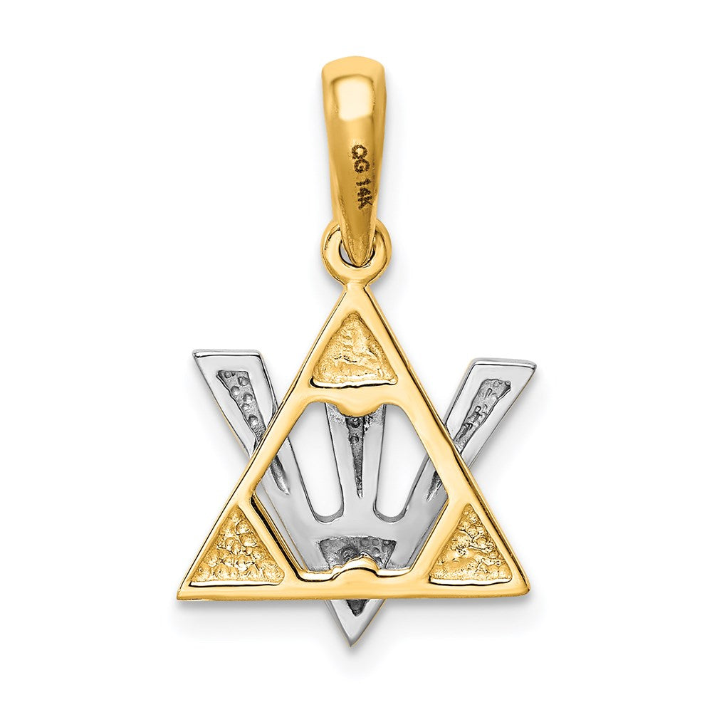 14k Two-tone 14 mm Two-tone Star of David w/Shin Charm