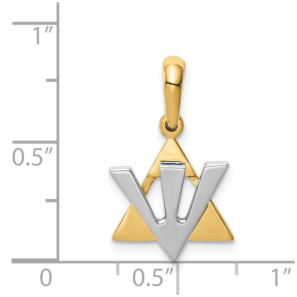 14k Two-tone 14 mm Two-tone Star of David w/Shin Charm