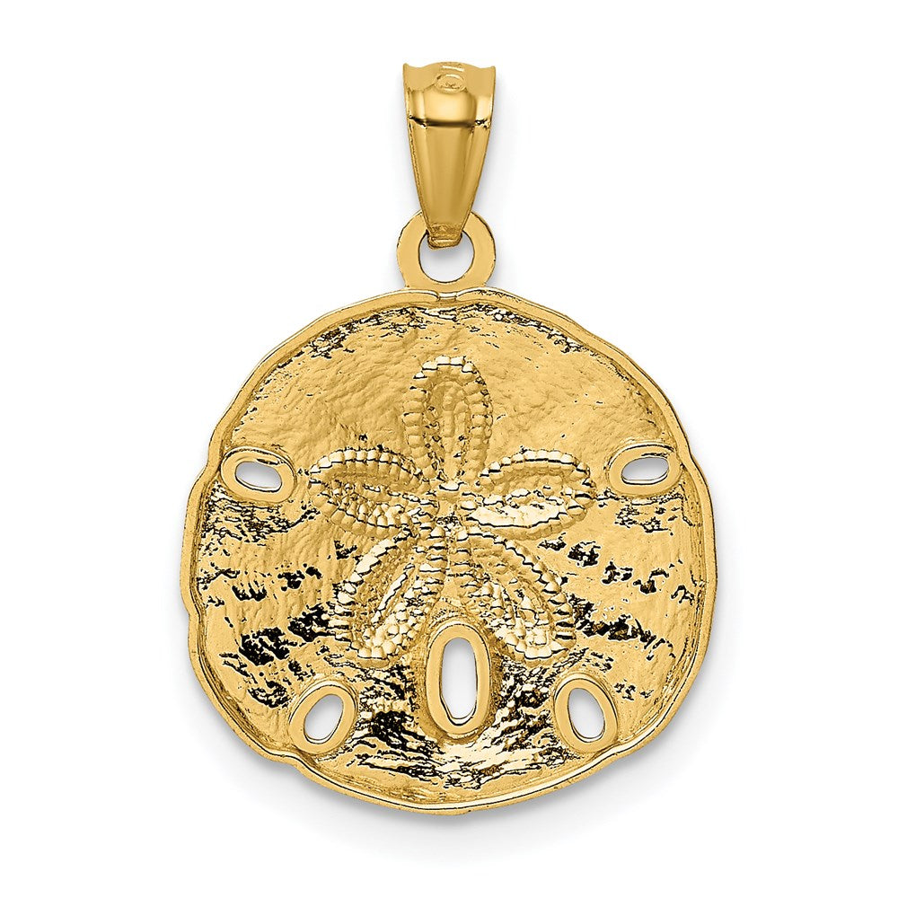 14k Yellow Gold 16.3 mm Gold Polished Large Sand Dollar Pendant (2.23 grams)