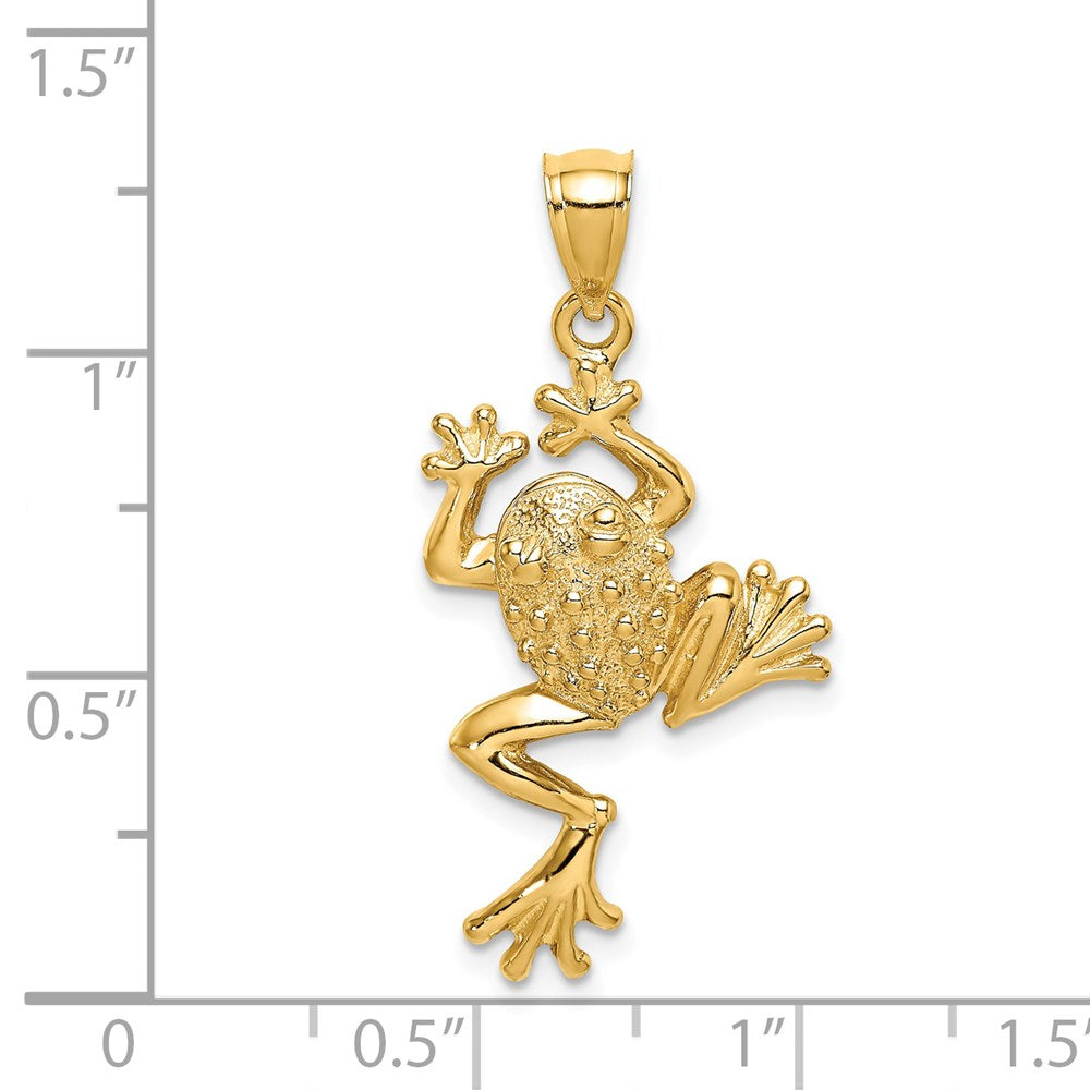 14k Yellow Gold 19.9 mm Frog w/ Textured Back Charm (3 grams)