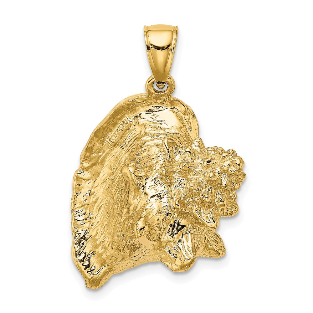 14k Yellow Gold 29.11 mm 3-D Enamel Large Conch Shell Charm (12.81 grams)