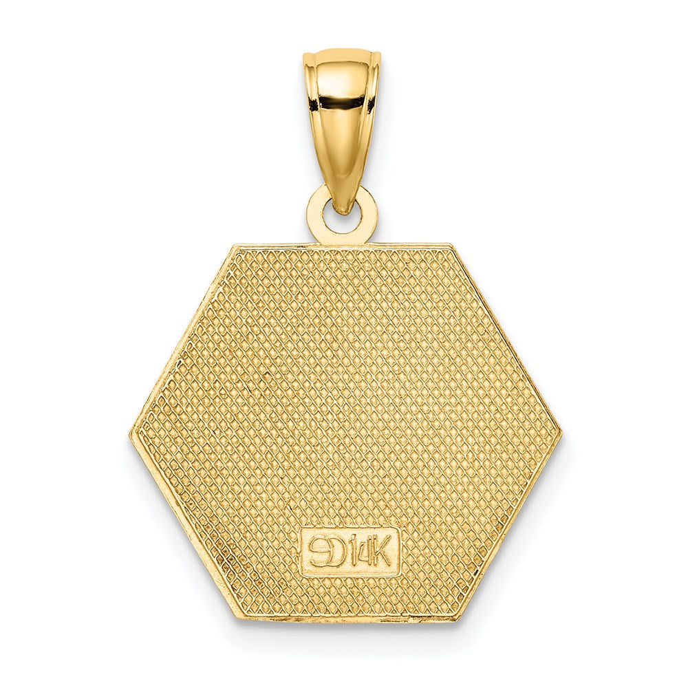 14k Yellow Gold 18.3 mm Enameled Textured Back Caduceus Medical Disc (2.15 grams)