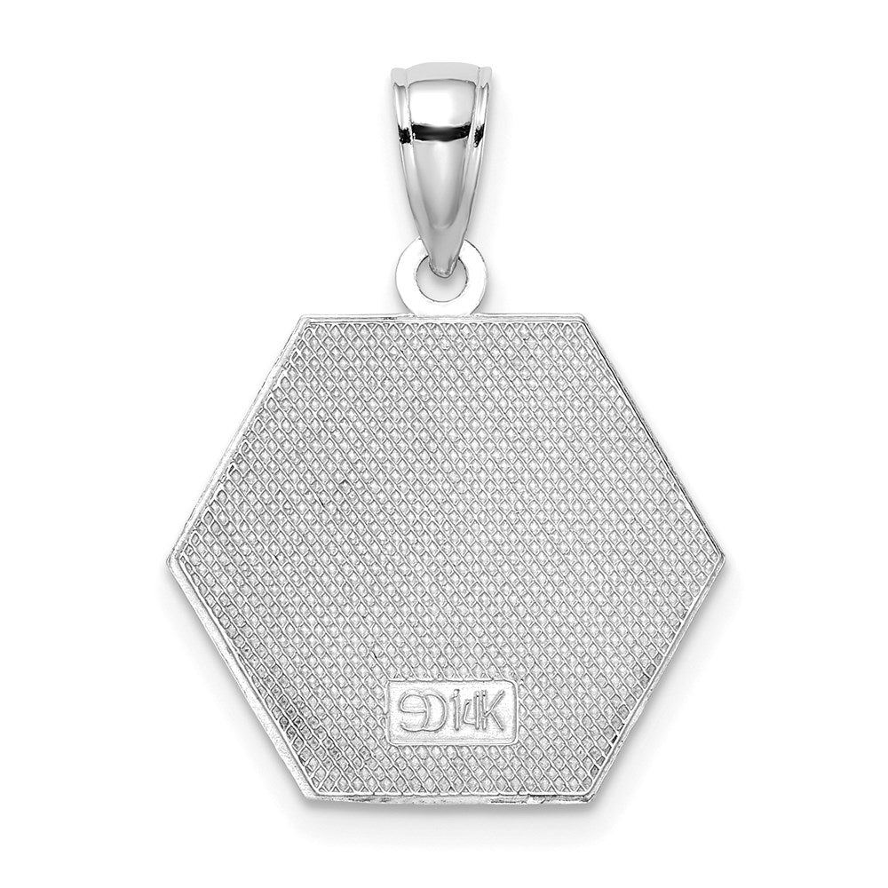 14k White Gold 18.3 mm  Enameled Textured Back Caduceus Medical Disc (2.39 grams)