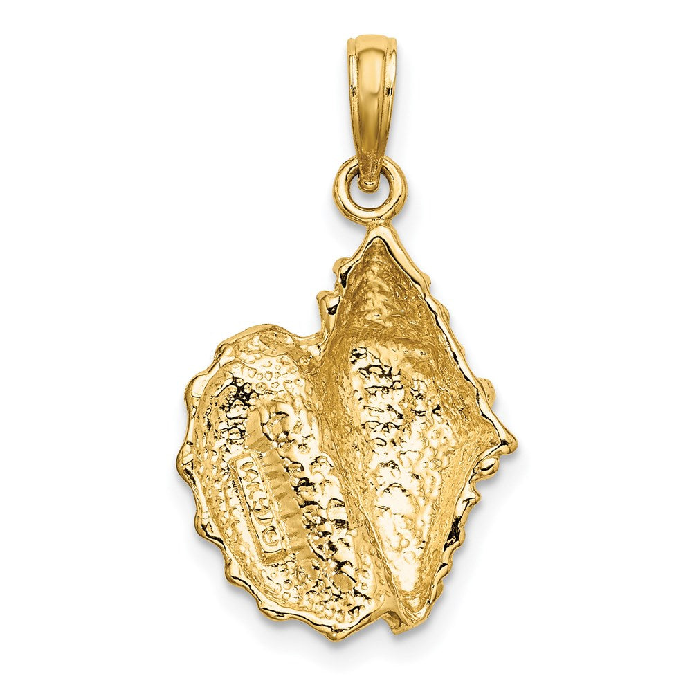 14k Yellow Gold 14.2 mm Conch Shell Charm (2.79 grams)