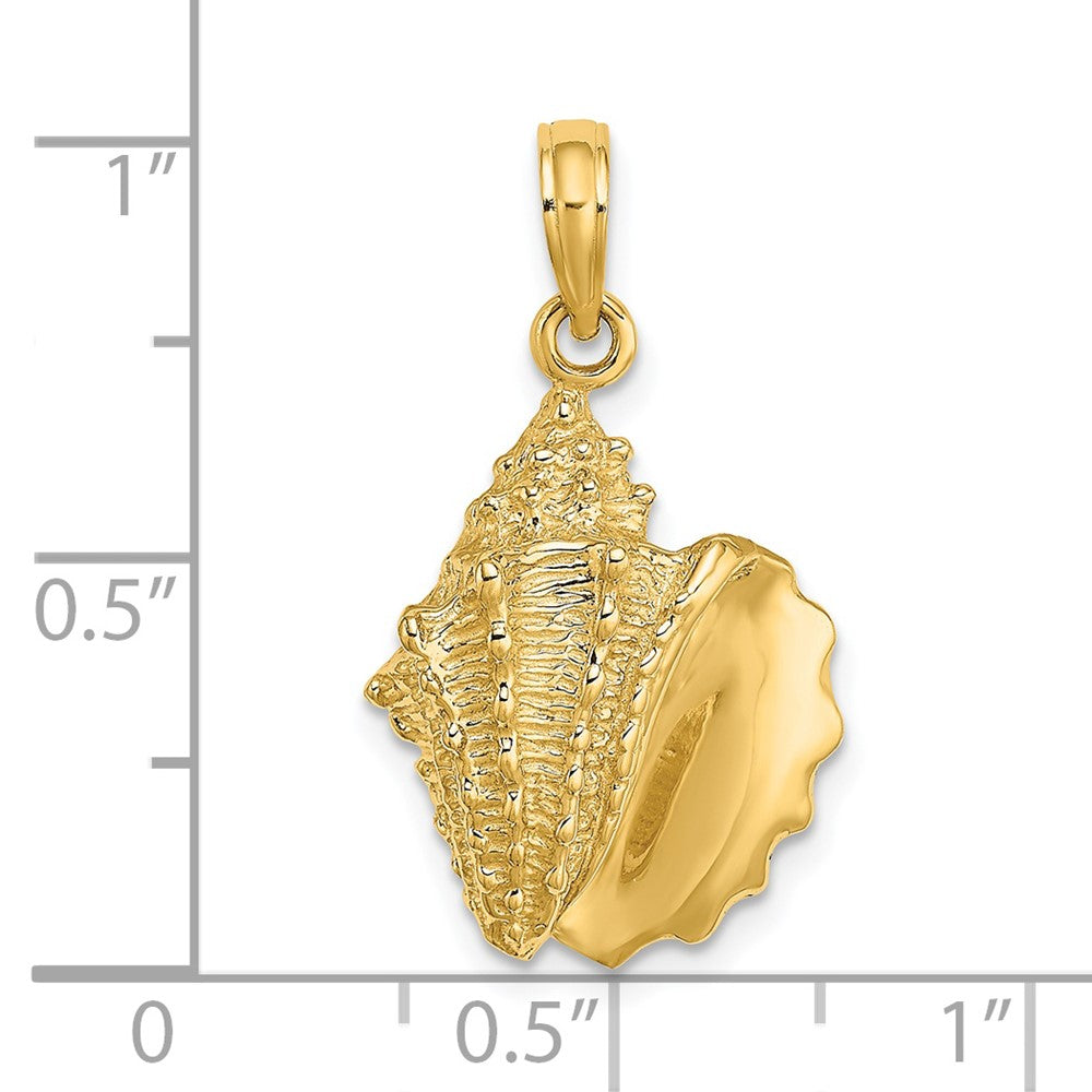 14k Yellow Gold 14.2 mm Conch Shell Charm (2.79 grams)