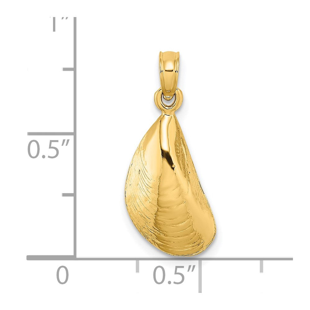 14k Yellow Gold 8.9 mm Polished Mussel Shell Charm (0.97 grams)