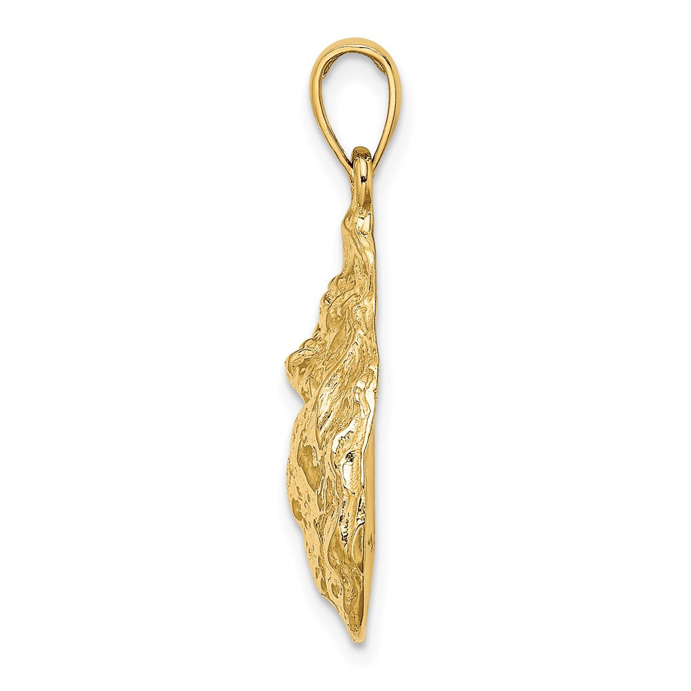 14k Yellow Gold 16.3 mm Textured and Polished Oyster Shell Charm (3.54 grams)