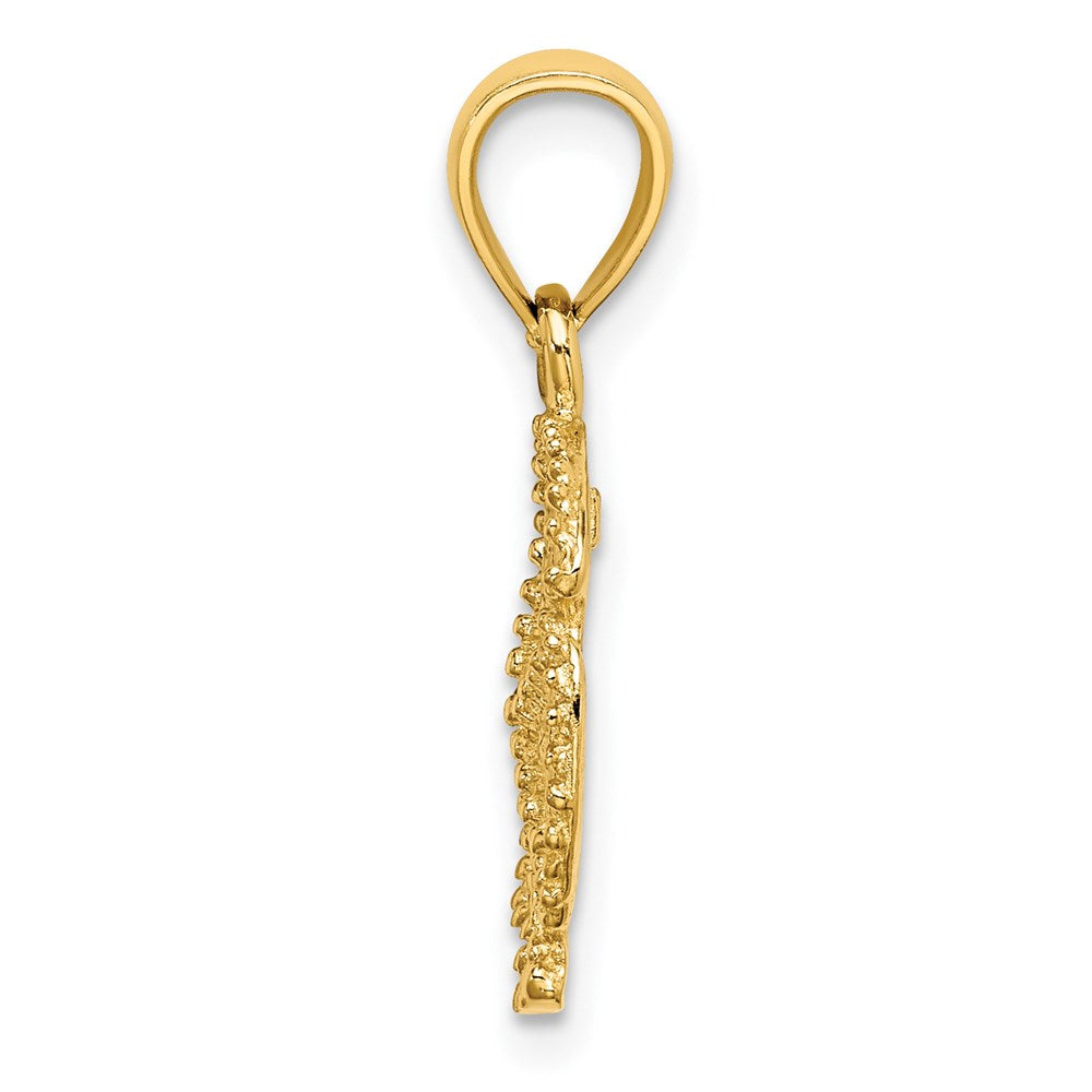14k Yellow Gold 13.5 mm Starfish on Sand Dollar Charm (1.31 grams)