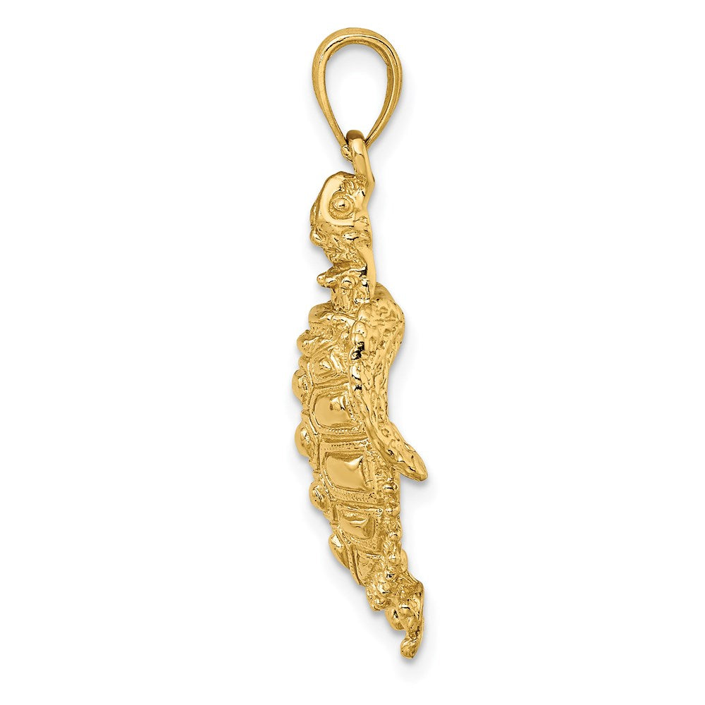 14k Yellow Gold 19.3 mm Sea Turtle with Spiny Shell Charm (4.54 grams)