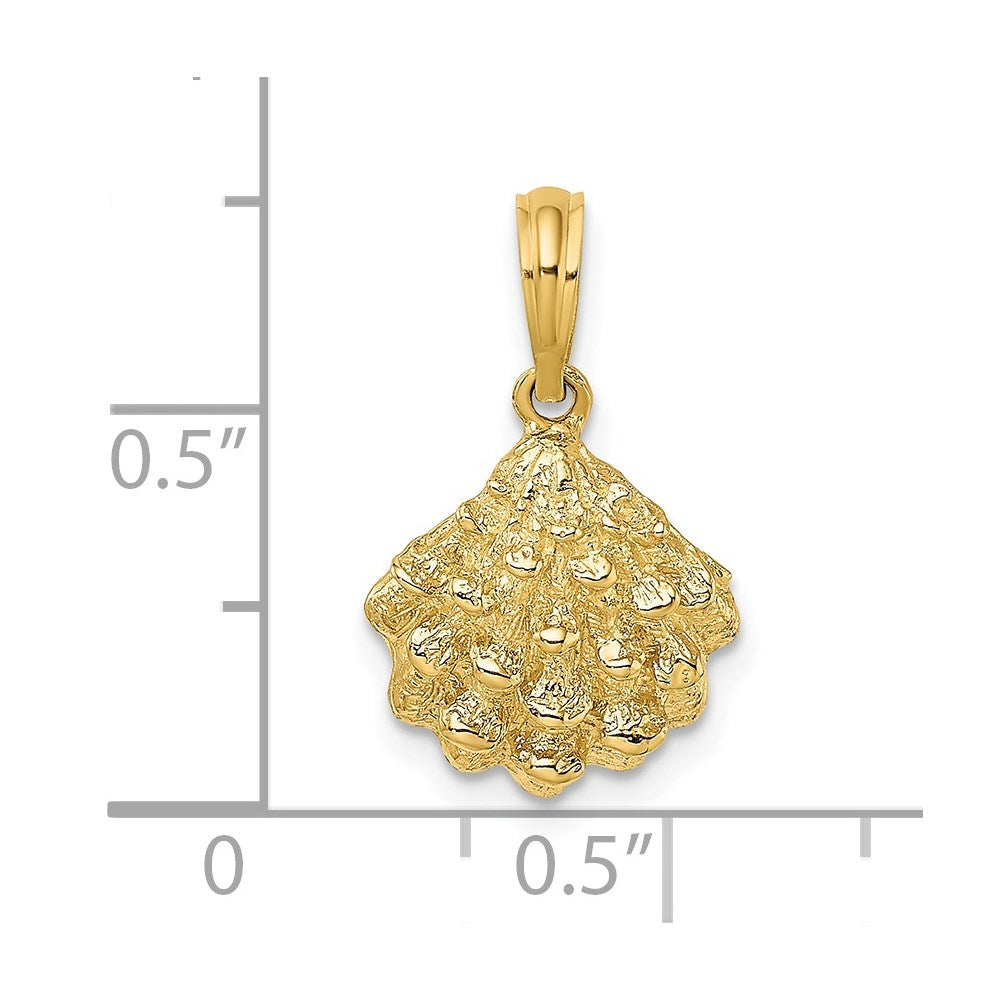 14k Yellow Gold 12.6 mm Textured Oyster Shell Charm (1.47 grams)