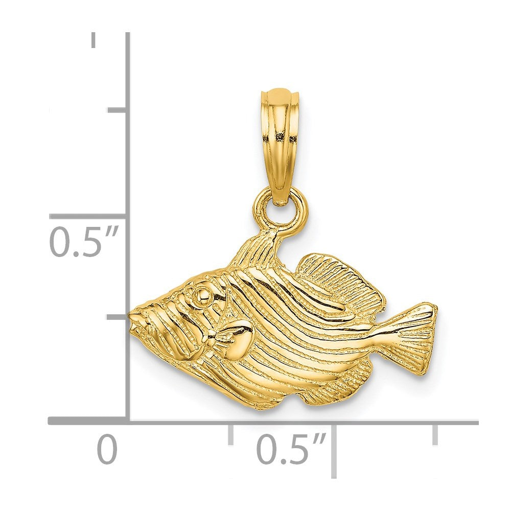 14k Yellow Gold 18.5 mm 2-D Engraved Striped Fish Charm (1.51 grams)
