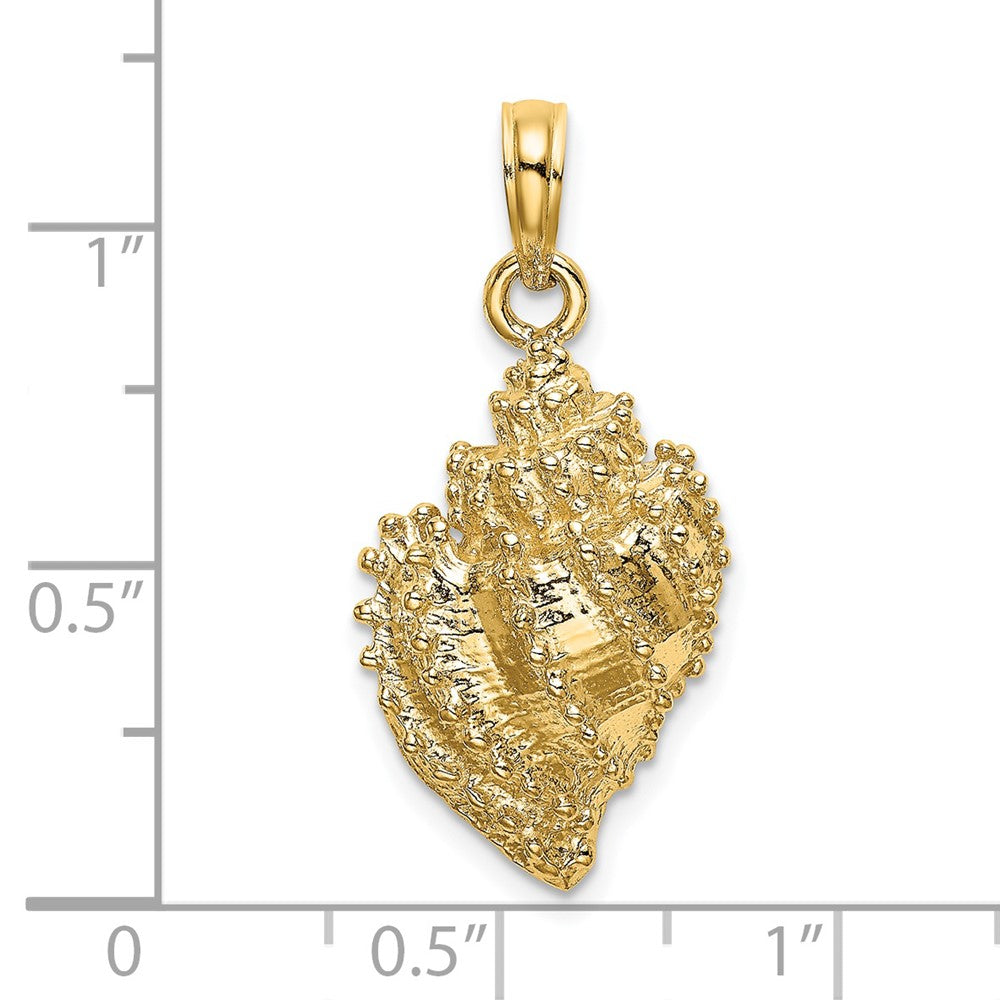 14k Yellow Gold 12.9 mm Textured Conch Shell Charm (2.45 grams)