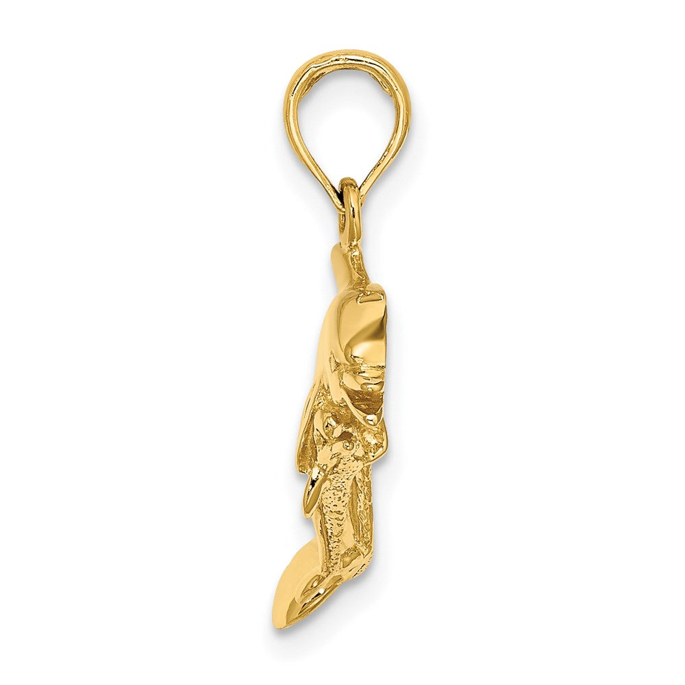 14k Yellow Gold 24.8 mm ng Charm (2.49 grams)