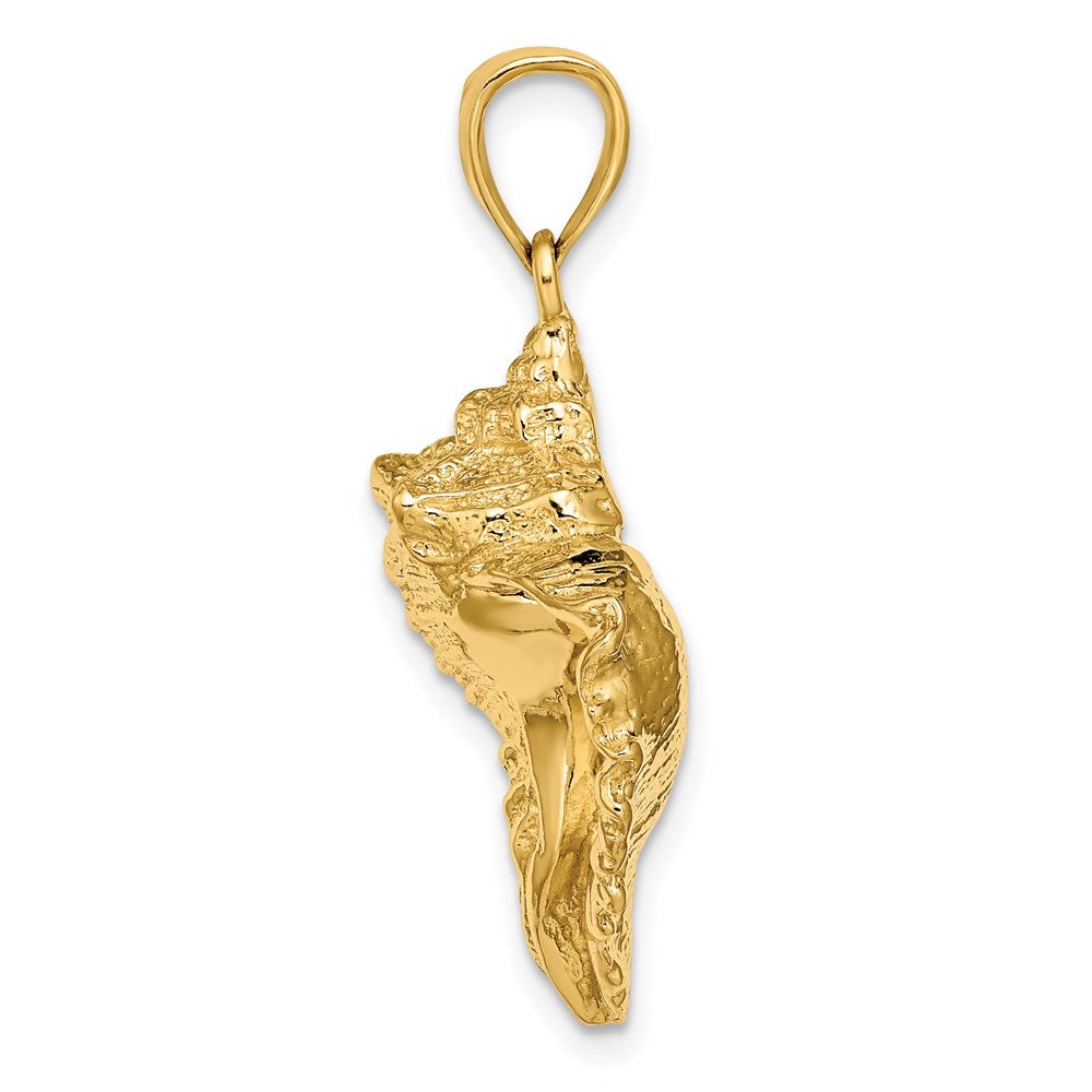 14k Yellow Gold 24.25 mm Textured Conch Shell Charm (6.18 grams)