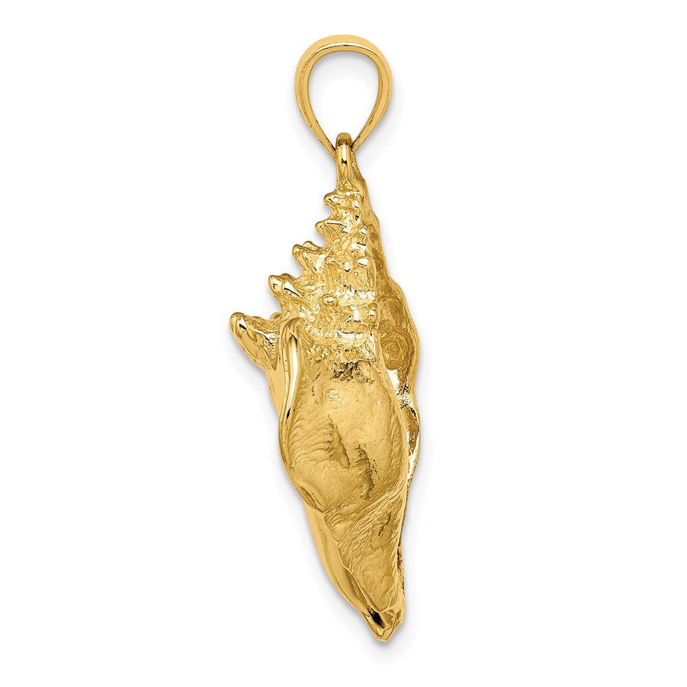 14k Yellow Gold 21.1 mm Conch Shell Charm (7.74 grams)