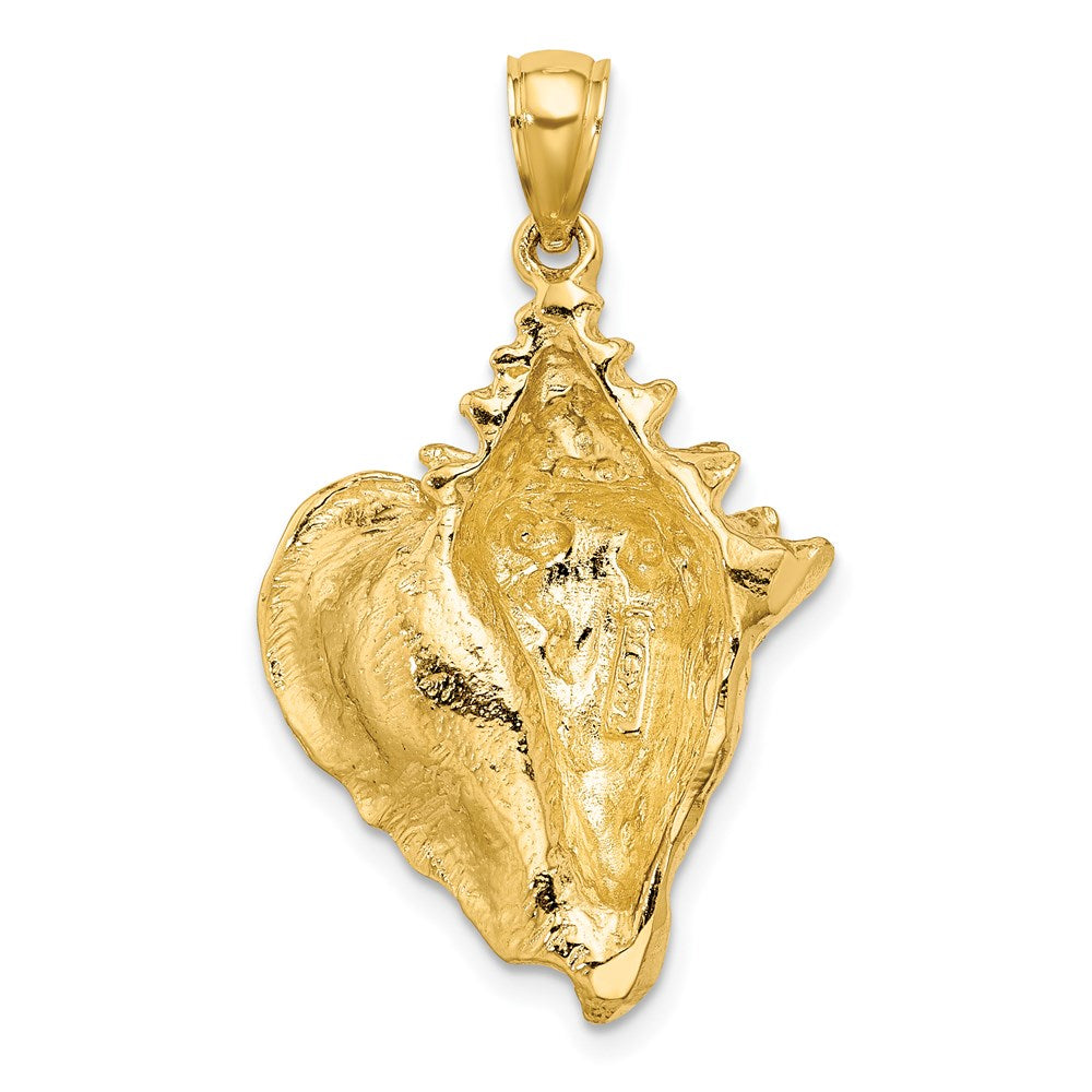14k Yellow Gold 21.1 mm Conch Shell Charm (7.74 grams)