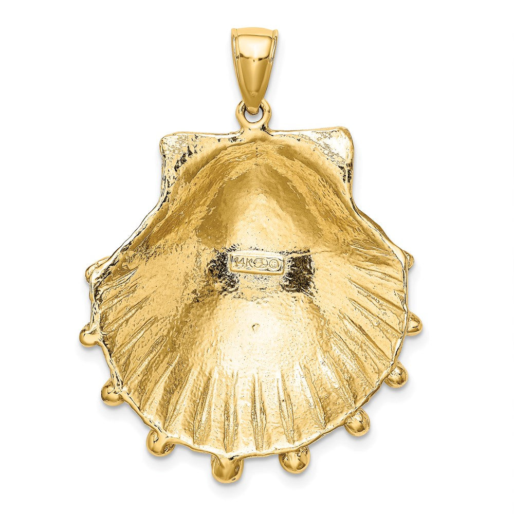 14k Yellow Gold 29.6 mm Lion's Paw Shell Charm (10.32 grams)