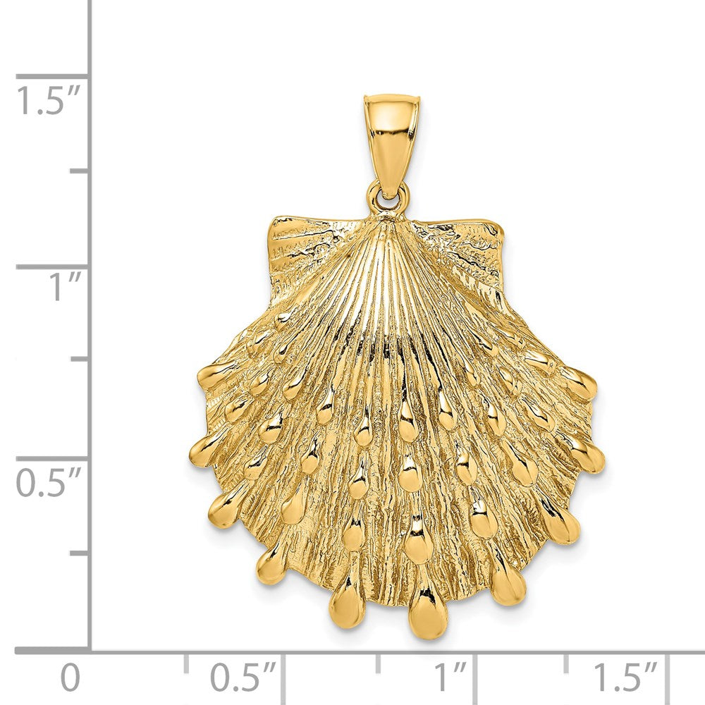 14k Yellow Gold 29.6 mm Lion's Paw Shell Charm (10.32 grams)