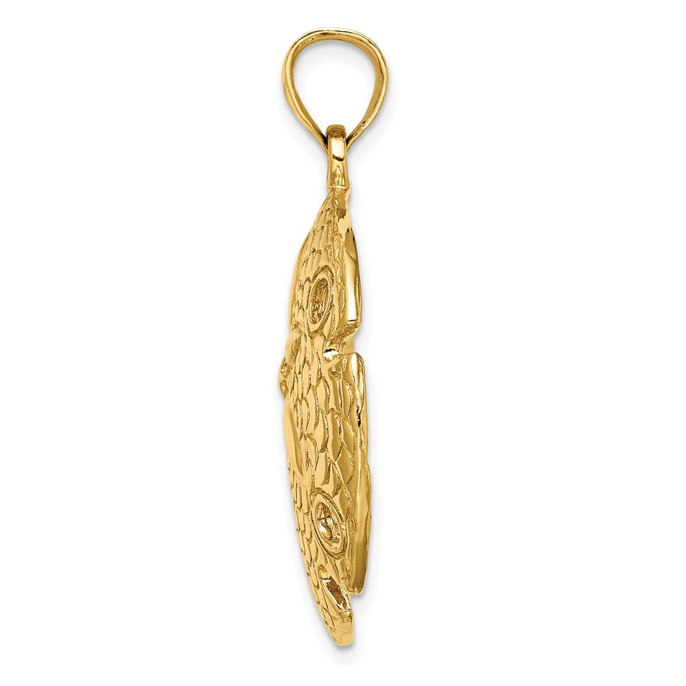 14k Yellow Gold 27.5 mm Polished and Textured Large Sand Dallar Charm (8.86 grams)