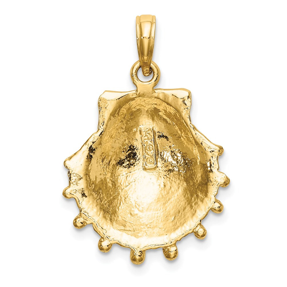 14k Yellow Gold 18.4 mm Lions Paw Shell Charm (3.8 grams)
