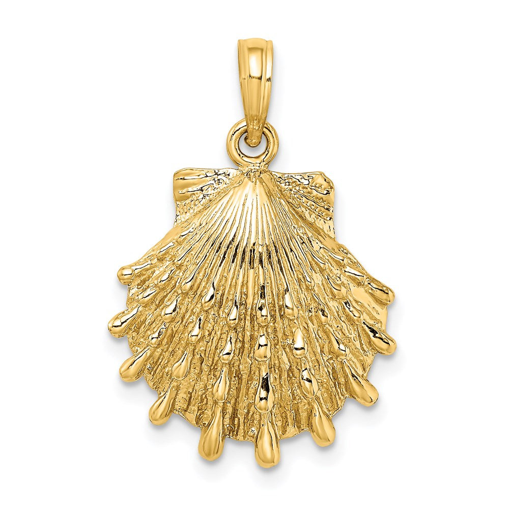 14k Yellow Gold 18.4 mm Lions Paw Shell Charm (3.8 grams)
