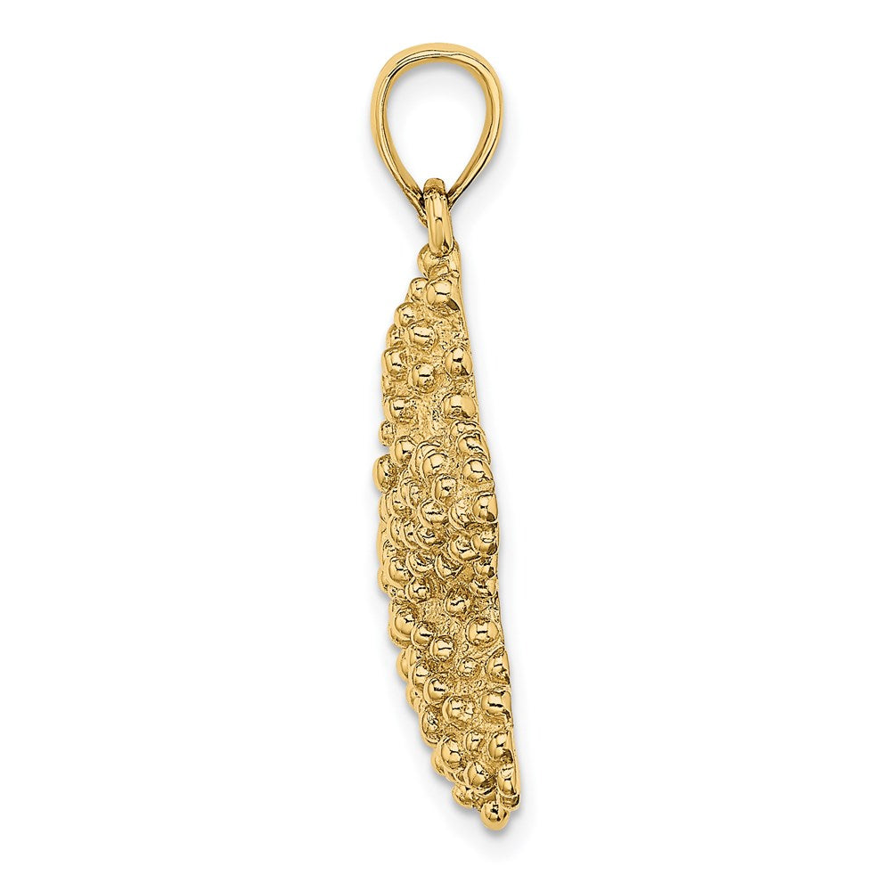 14k Yellow Gold 24.2 mm Textured Starfish Charm (5.64 grams)