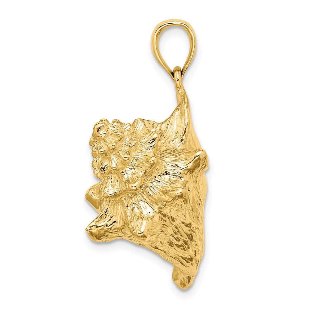 14k Yellow Gold 29.1 mm 3-D Conch Shell Charm (13.08 grams)