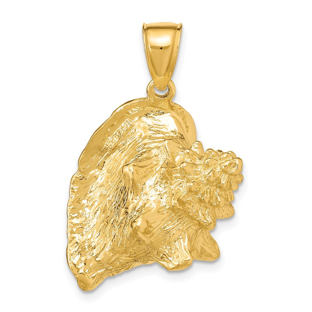 14k Yellow Gold 29.1 mm 3-D Conch Shell Charm (13.08 grams)